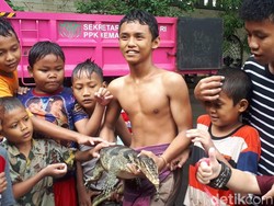 Warga Temukan Biawak di Lokasi Banjir Underpass Kemayoran