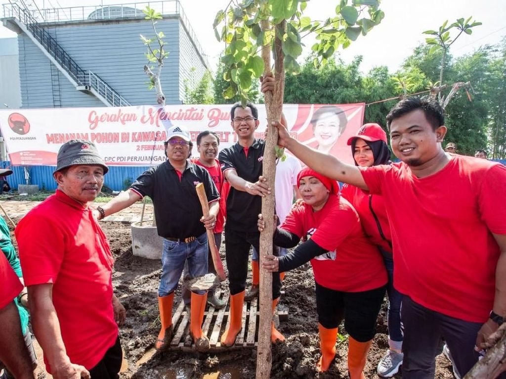 Tanam Pohon untuk Penghijauan, PDIP Surabaya: Politik Tak Selalu Kekuasaan Tanam Pohon untuk Penghijauan, PDIP Surabaya: Politik Tak Selalu Kekuasaan