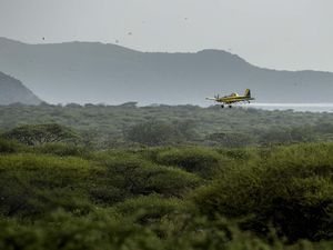 Kenya Tak Akan Karantina Turis, kecuali...