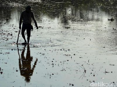 Harapan Petani Ciganjeng di Tengah Ancaman Banjir