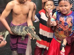 Kemayoran Banjir, Bocah-bocah Tangkap Biawak di Jalanan