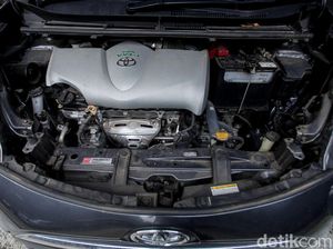 Nah Lho, Tikus Bisa Bikin Pemilik Mobil Rugi Belasan Juta Rupiah