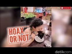 Benarkah Sup Kelelawar Pemicu Wabah Virus Corona? Ini Kata Ahli Mikrobiologi