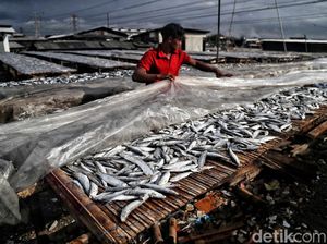 Geliat Produksi Ikan Asin yang Lesu di Musim Hujan