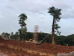 Sekda DKI soal Revitalisasi Monas: 191 Pohon Ditebang, Diganti 573 Pohon
