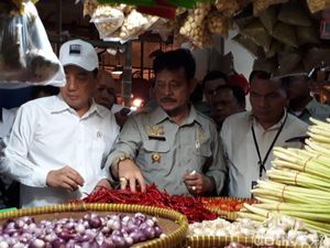 Duet Mendag-Mentan Operasi Pasar Senen