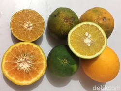 Cara Memilih Jeruk yang Manis Segar Untuk Bayi