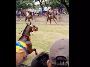 Kuda Pacuan Tabrak Penonton di Lintasan, Sejumlah Orang Luka-luka