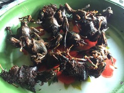 Virus Corona Mewabah, Kelelawar Bacem di Gunungkidul Ini Tetap Laris Manis