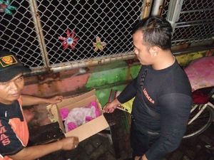 Kardus Isi Mayat Bayi Ditemukan Terapung di Sungai Surabaya