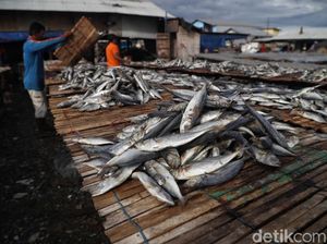 Mengandung Nitrosamin, Ikan Asin Bisa Picu Kanker Nasofaring Mengandung Nitrosamin, Ikan Asin Bisa Picu Kanker Nasofaring