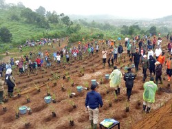 Jokowi Tanam Akar Wangi-Durian di Lahan Bekas Longsor di Sukajaya Bogor