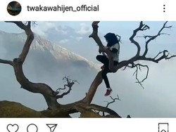 Viral, Wisatawan Lakukan Aksi Berbahaya di Atas Pohon Puncak Kawah Ijen