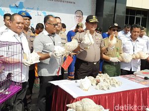Penjualan Satwa Dilindungi Senilai Rp 1,5 M Digagalkan