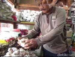 Dampak Virus Corona, Harga Bawang Putih Asal China di Probolinggo Naik