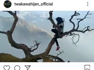Bahaya! Traveler Ini Panjat Pohon Kering di Atas Kawah Ijen