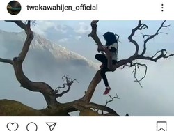 Bahaya! Traveler Ini Panjat Pohon Kering di Atas Kawah Ijen