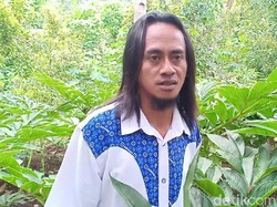 Ini Cara Tanam Porang ala Mantan Pemulung yang Jadi Miliarder