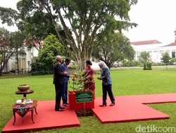 Jokowi dan Presiden Singapura Tanam Pohon Damar di Istana Bogor