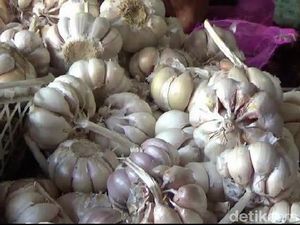 Harga Bawang Putih Meroket, Corona Pemicunya?