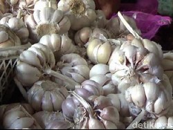 Harga Bawang Putih Meroket, Corona Pemicunya?
