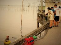 Nenek 85 Tahun Ini Kumpulkan Seafood untuk Biayai Putrinya yang Sakit