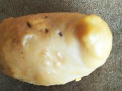 Heboh Telur Isi Telur, Ada Juga Telur Bentuk Ulat dan Telur Berbelalai