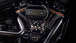 Harley-Davidson Fat Boy Edisi Khusus!