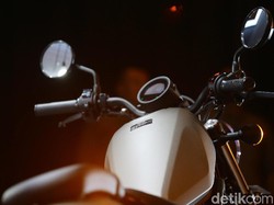 Moge Favorit Pejabat Pajak Dilaporkan Mulai Rp 120 Juta, Berapa Harga Pasarannya?