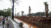 Ini Penampakan Pohon Pengganti Revitalisasi Monas
