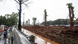Ini Penampakan Pohon Pengganti Revitalisasi Monas