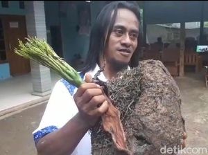 Setelah Jadi Miliarder, Mantan Pemulung Ini Bagikan Ilmu Tanam Porang Setelah Jadi Miliarder, Mantan Pemulung Ini Bagikan Ilmu Tanam Porang