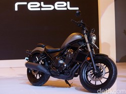 Respons Honda Soal Moge Rebel Jadi Favorit Pejabat Pajak