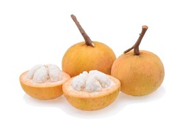 Buah kecapi dan 11 Manfaat Bagi Kesehatan Tubuh