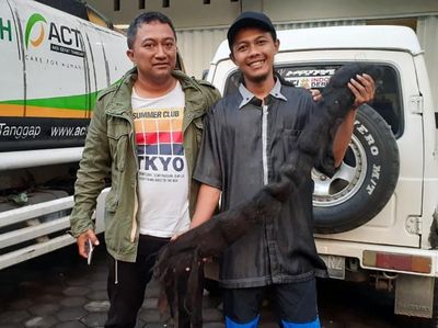 Melihat Lagi Rambut Gimbal Sukiyah yang Batal Dikubur