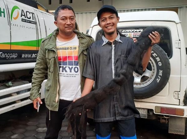 Melihat Lagi Rambut Gimbal Sukiyah yang Batal Dikubur