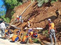 Vetiver Andalan Jokowi Teruji Ampuh Cegah Longsor di Banjarnegara