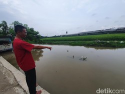 Warga Temukan Mayat Bayi Perempuan di Kali Irigasi Bekasi
