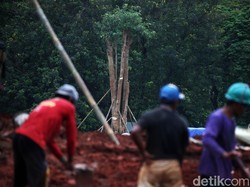 Video: Usai Gundul Akibat Revitalisasi, Monas Kini Ditanami Pohon Kembali