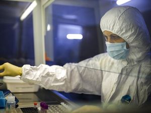 Dokter Paru Sarankan Berhenti Merokok untuk Jauhkan Virus Corona Dokter Paru Sarankan Berhenti Merokok untuk Jauhkan Virus Corona