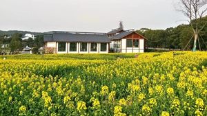 Deretan Foto Saat Wuhan Baik-Baik Saja