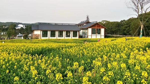 Deretan Foto Saat Wuhan Baik-Baik Saja