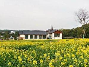 Deretan Foto Saat Wuhan Baik-Baik Saja