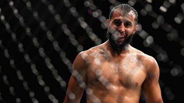 Dominick Reyes belum menelan kekalahan sepanjang kariernya.
