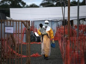 Wabah Ebola di Guinea, 4 Orang Tewas Wabah Ebola di Guinea, 4 Orang Tewas