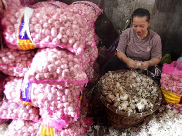 Harga Bawang Putih Terus Merangkak Naik