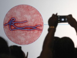 DPR Cemas Virus Corona Goyang Harga Batu Bara
