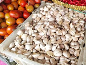 Impor Sayur dan Buah dari China Tetap Dibuka, Aman dari Corona? Impor Sayur dan Buah dari China Tetap Dibuka, Aman dari Corona?
