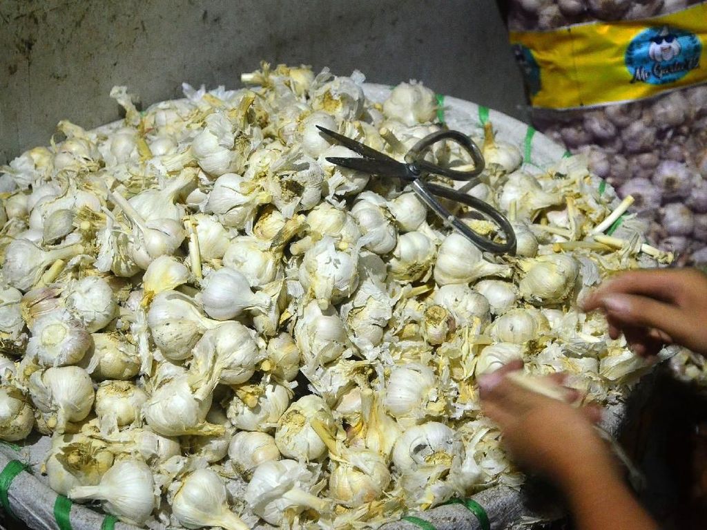 RI Impor Bawang Putih dari China 1.508 Ton di Januari RI Impor Bawang Putih dari China 1.508 Ton di Januari