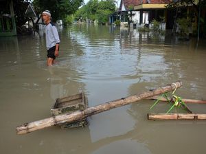 Banjir Menerjang Ratusan Rumah di Jombang